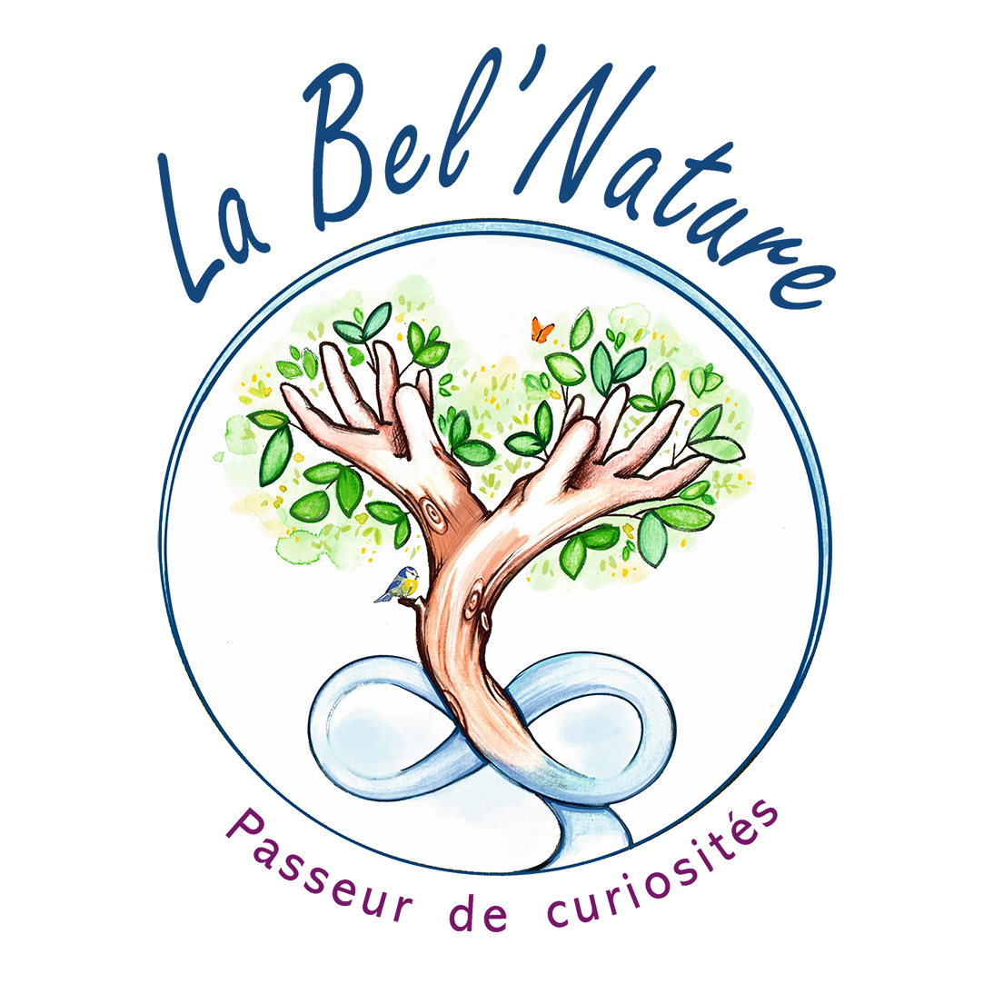 La Bel Nature - Education